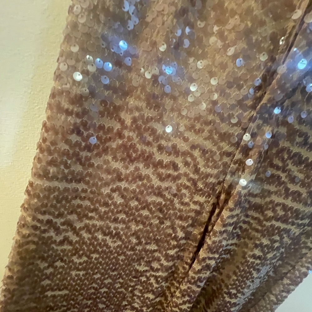 Zara Brown Sequin Pants - Picture 9 of 11